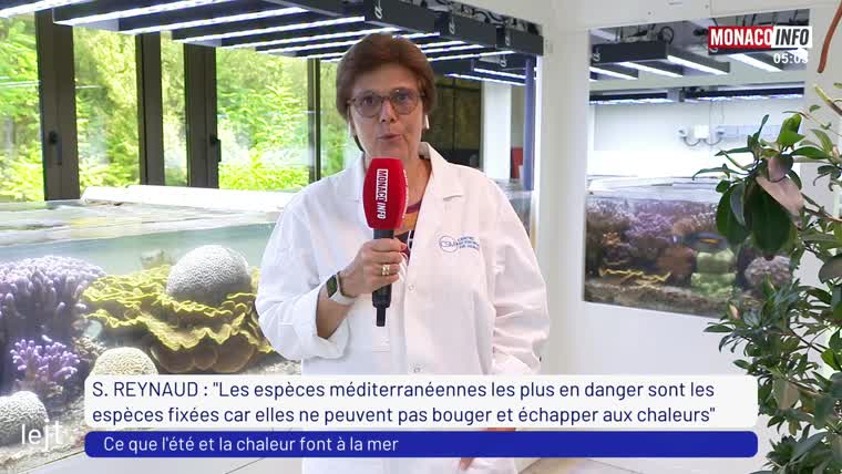 channelthumbnl