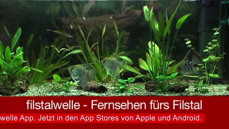 channelthumbnl