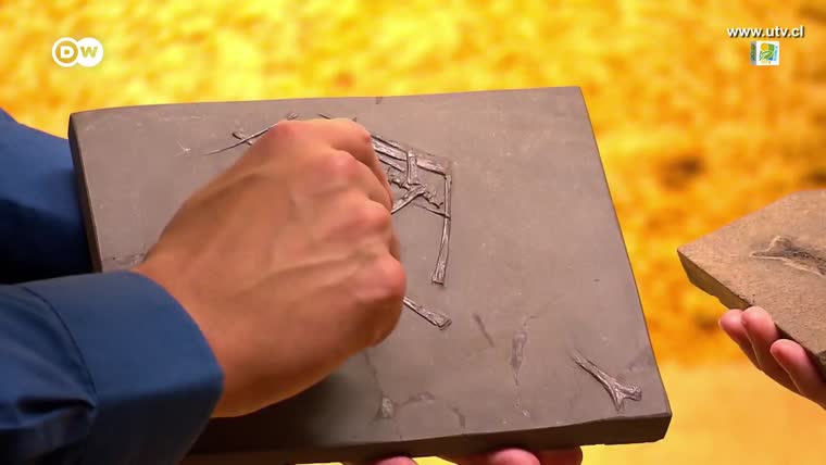 channelthumbnl