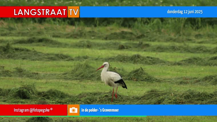 channelthumbnl